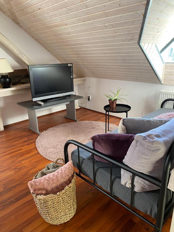 Apartmany Rudik Железна-Руда Экстерьер фото