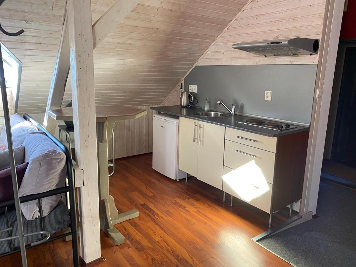 Apartmany Rudik Железна-Руда Экстерьер фото